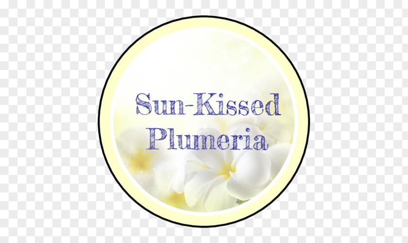 Plumeria Product Cut Flowers Diary The Shadowboxers Font PNG