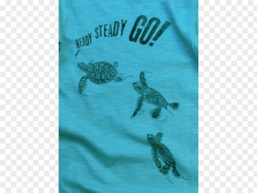 Turtle Sea Children's Clothing Leisure Lion PNG
