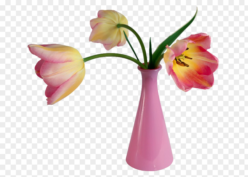 Vase Valentines Day Flower Bouquet Clip Art PNG