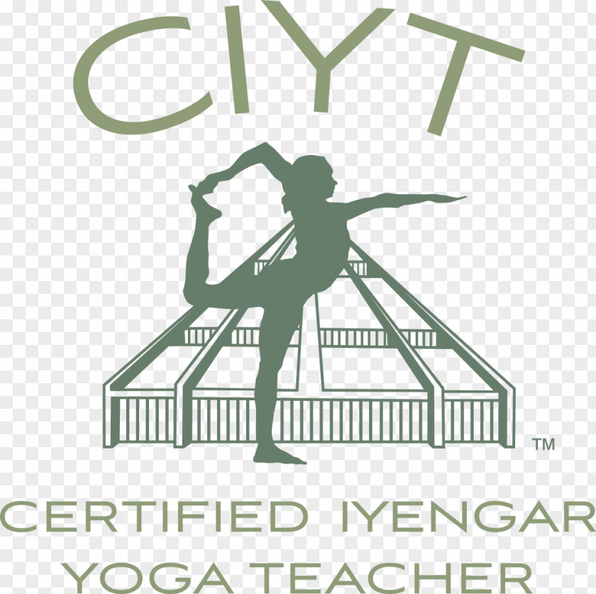 Yoga Iyengar Teacher Hatha Instructor PNG