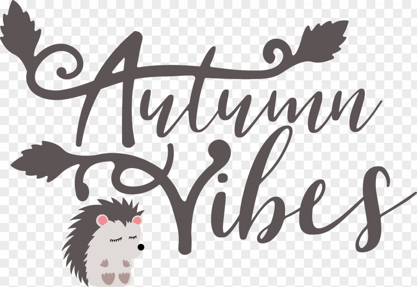 Autumn Vibes Autumn Fall PNG