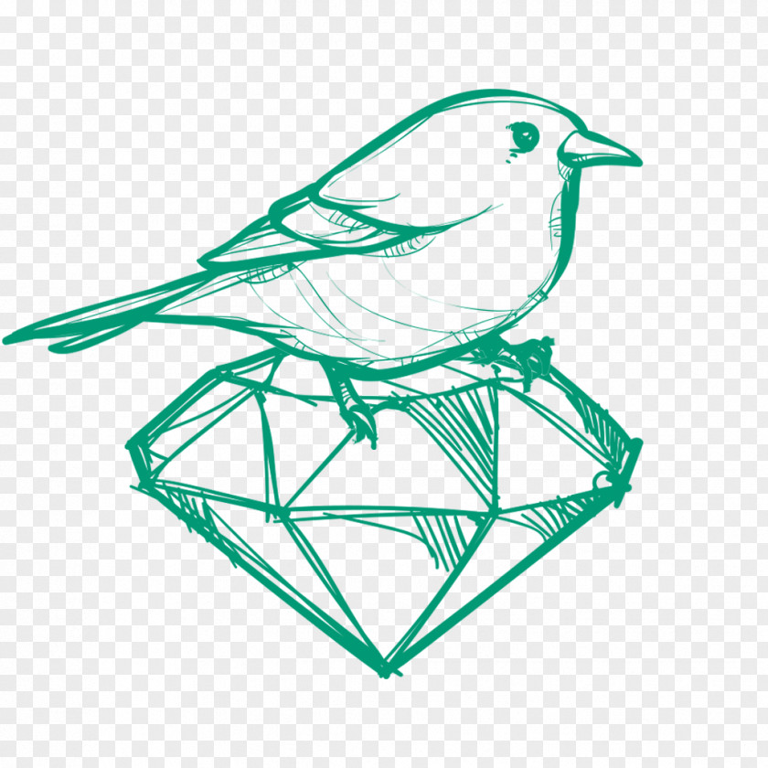 Finch Wildlife Bird Line Drawing PNG
