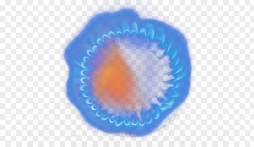 Gas Flame Circle Close-up Organism Wallpaper PNG
