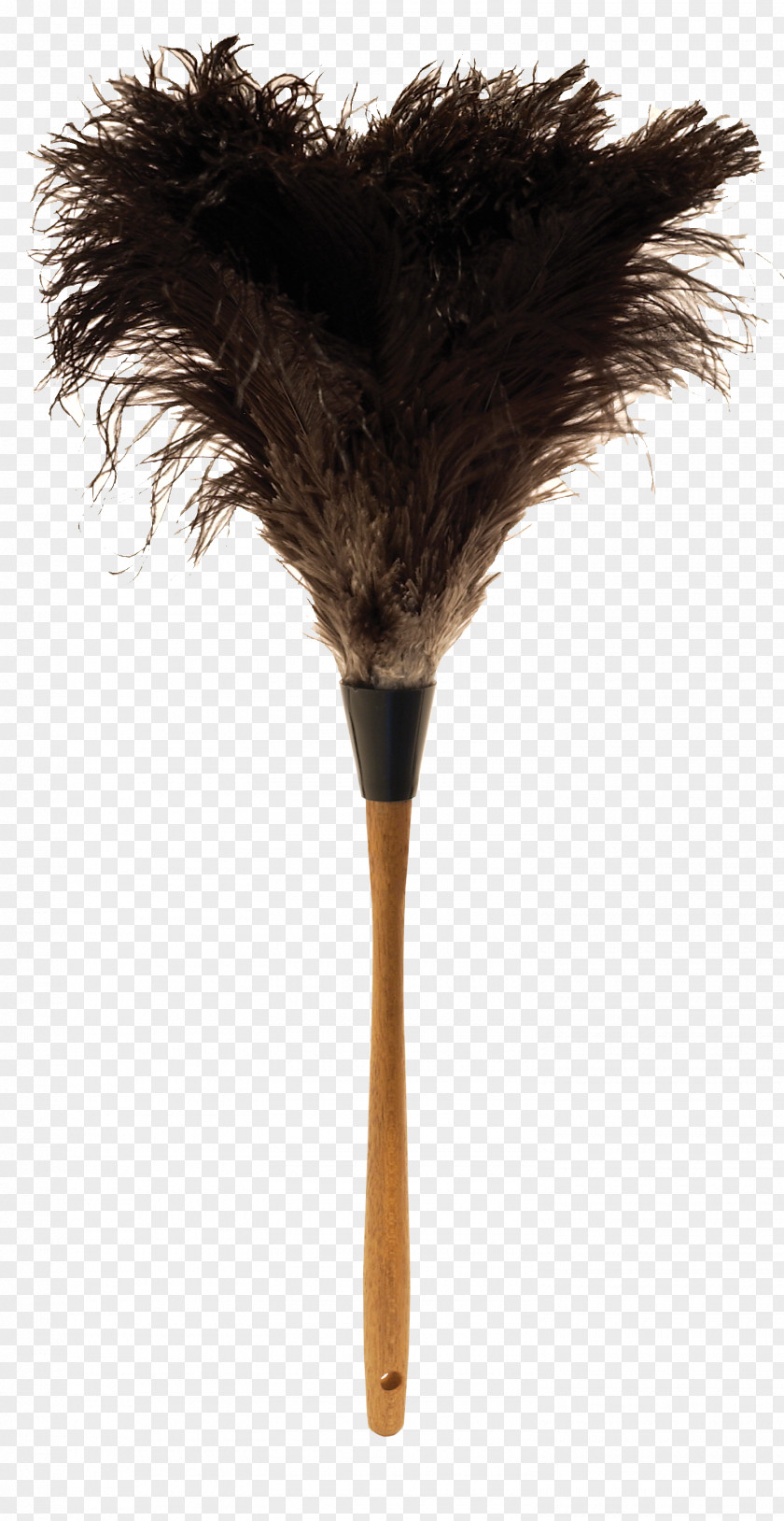 Ostrich Feathers Feather Duster Common PNG