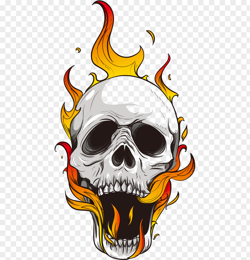 Vector Skull And Flames Flame Computer File PNG