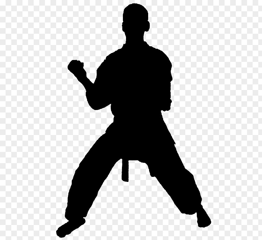 Xing Yi Quan Kung Fu Taekwondo Cartoon PNG