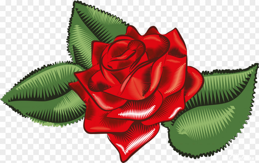 Amazing Flowers Garden Roses Red Petal Data PNG