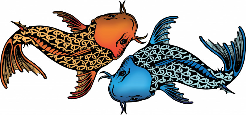 Fish Illustrations Koi Idaho Falls Cartoonist Illustration PNG