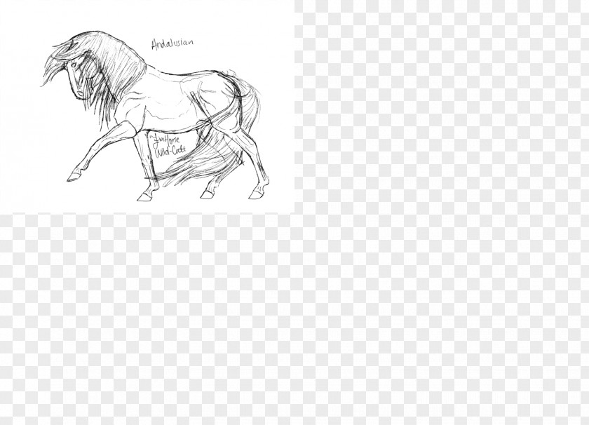 Horse Line Art Drawing Desktop Wallpaper Sketch PNG