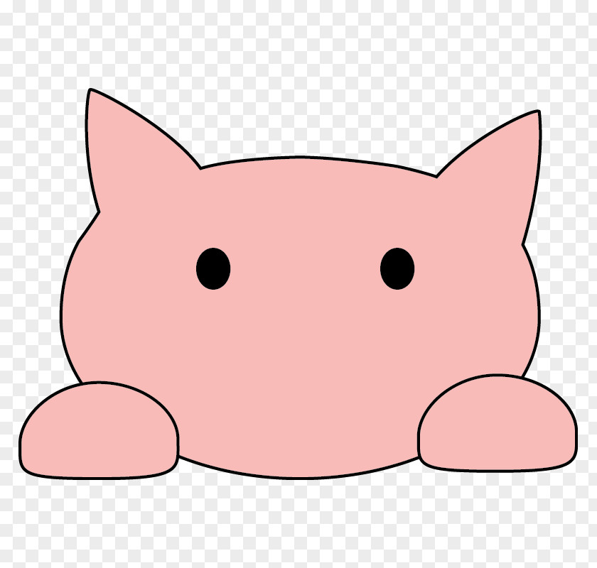 Kitten Whiskers Cat Pig Snout PNG
