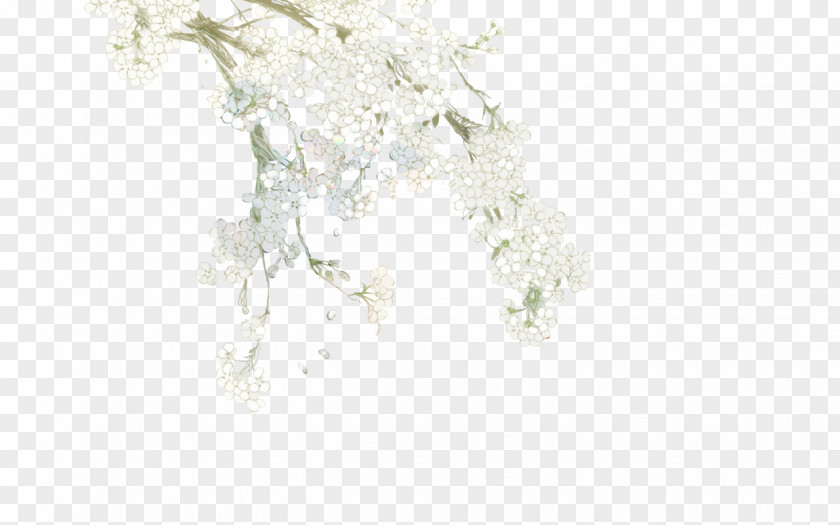 White Flowers Flower PNG