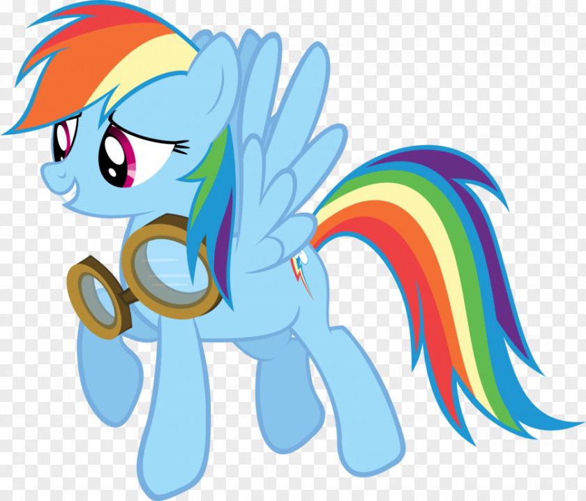 My Little Pony Rainbow Dash Horse PNG