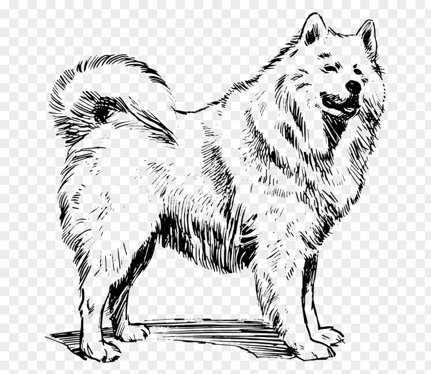 Puppy Samoyed Dog Siberian Husky Greenland Canadian Eskimo PNG