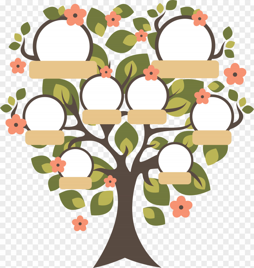 Family Tree Genealogy Childhood PNG