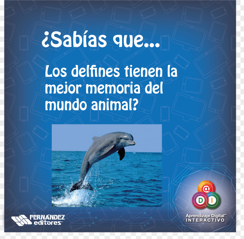Sabias Que Dolphin Water Resources Advertising Stock Photography PNG