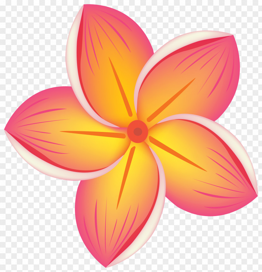 Tropical Flower Clip Art PNG