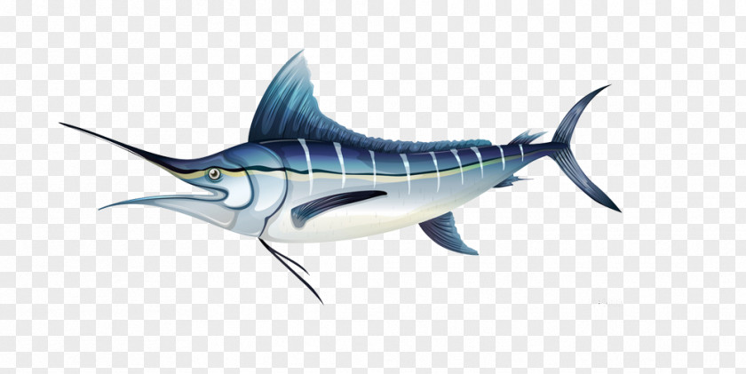 Beautiful Fish Creative Picture Atlantic Blue Marlin Royalty-free Illustration PNG