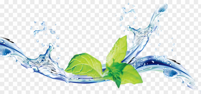 Water Elemental Mint Software PNG