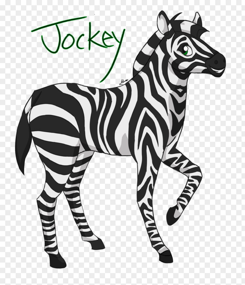 Zebra Quagga Animal White Font PNG