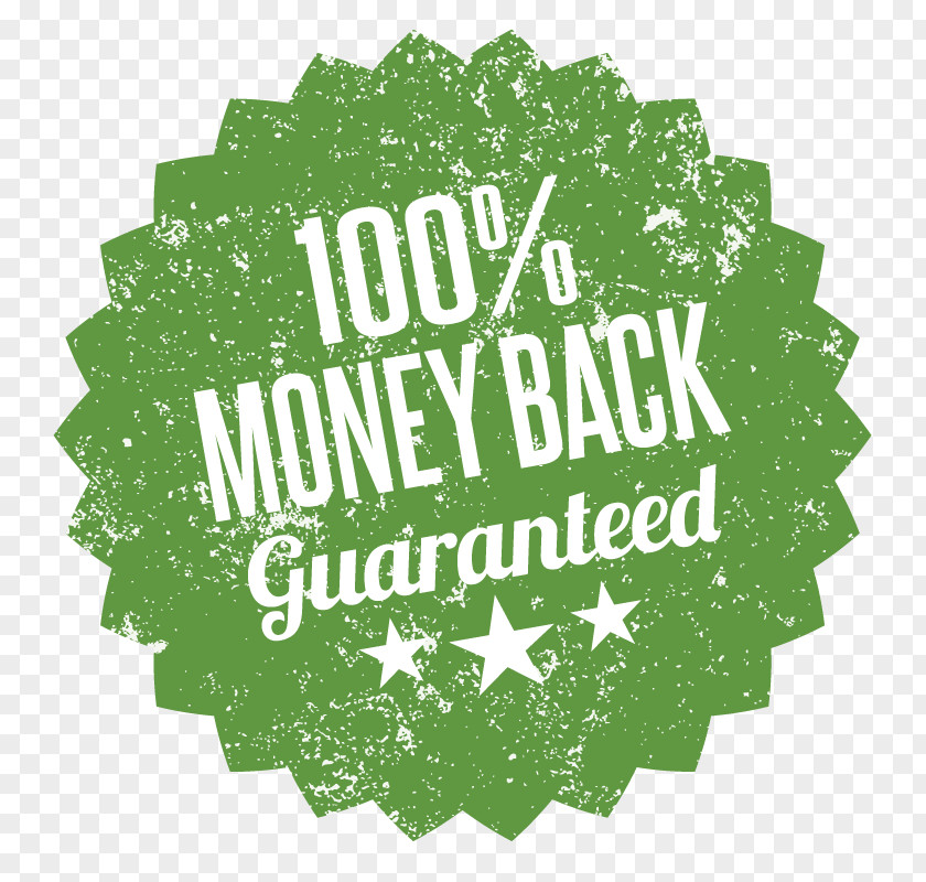 CASH BACK Organization PNG