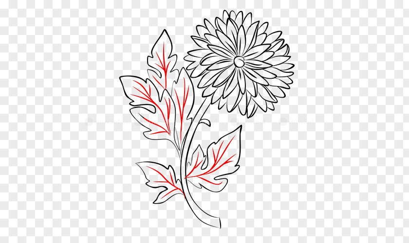 Chrysanthemum Flower Floral Design Manual Of The Mustard Seed Garden Line Art Drawing PNG