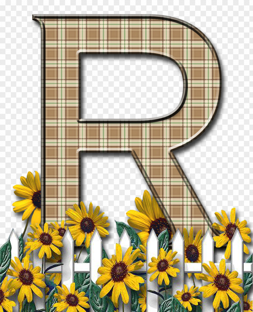 Letter P Common Sunflower Paper Case PNG