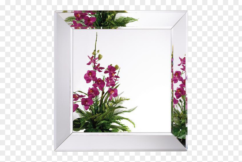 Mirror Bathroom Cabinet Glass Rectangle PNG