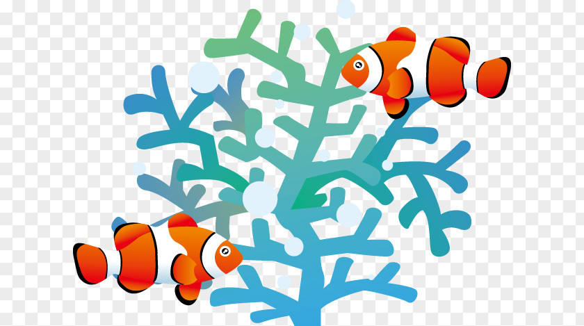 Pernambuco Clip Art Illustration Coral Reef Ecosystem PNG