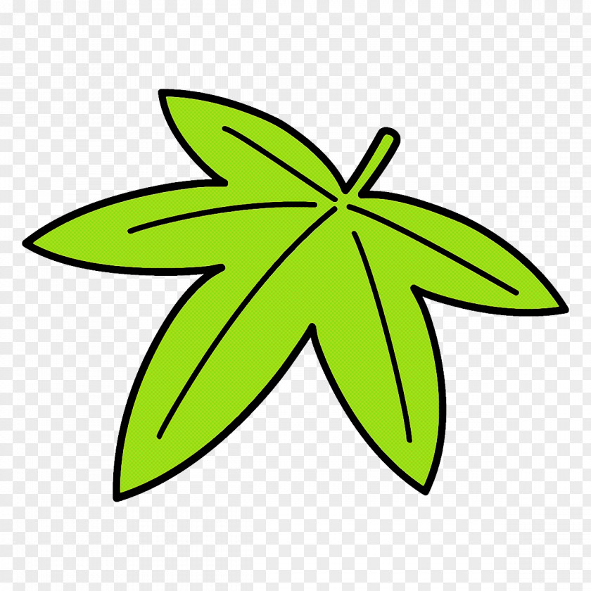 Plant Leaf Green PNG