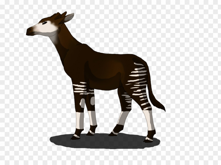 Quickly Clipart Okapi Giraffe Pronghorn Horse Drawing PNG