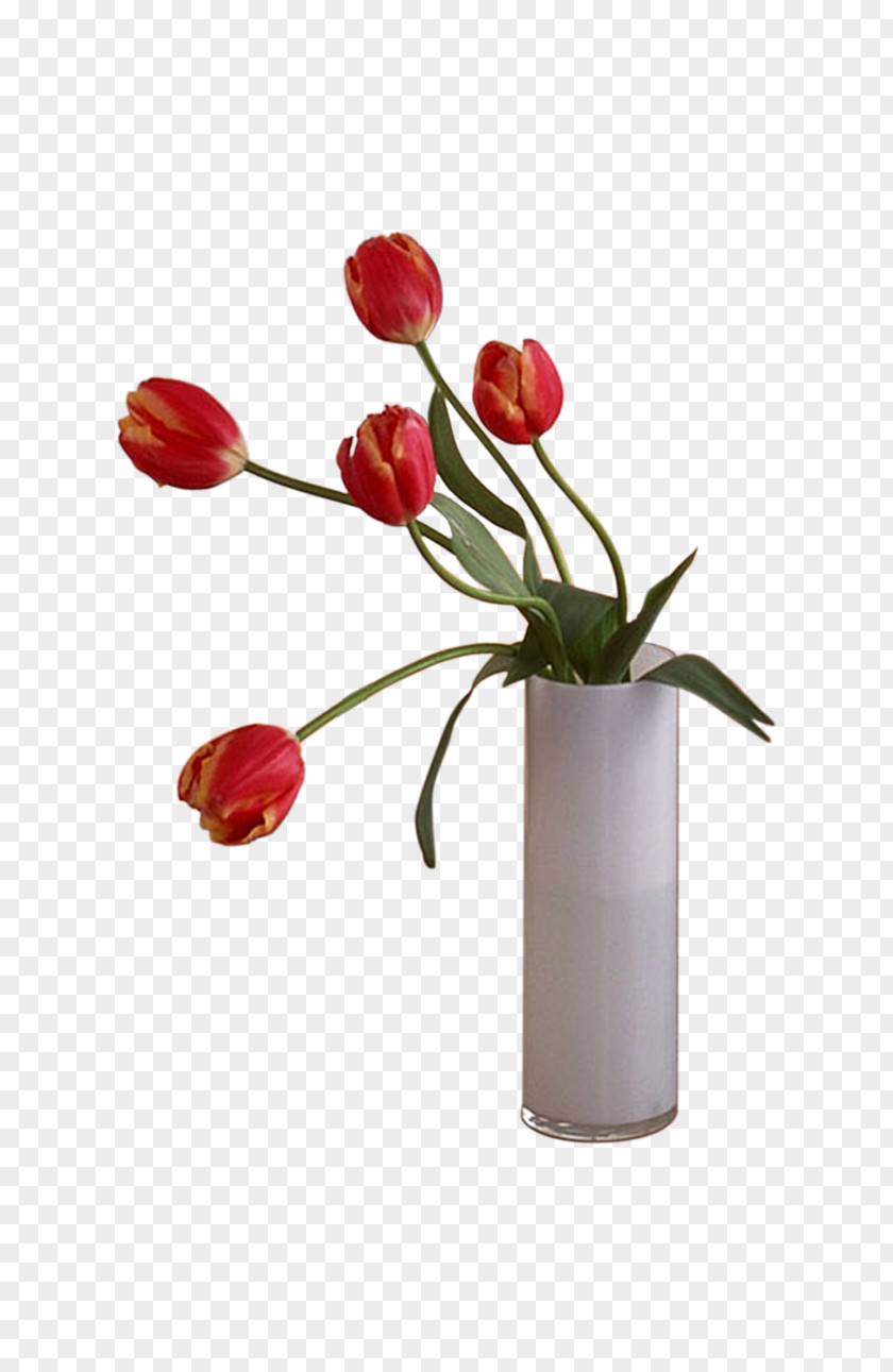 Red Tulips Floral Design Adobe Illustrator PNG