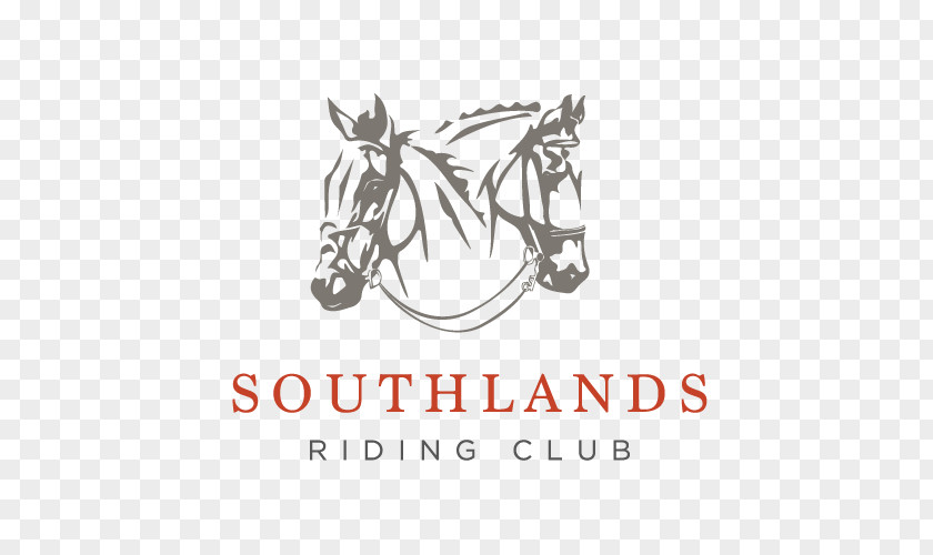 Riding Club Southlands Horse Donation Bridle Victoria PNG