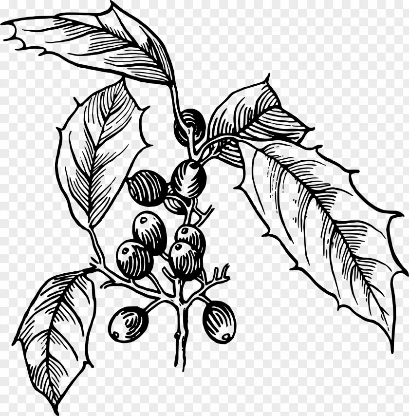 Tree Drawing Clip Art PNG