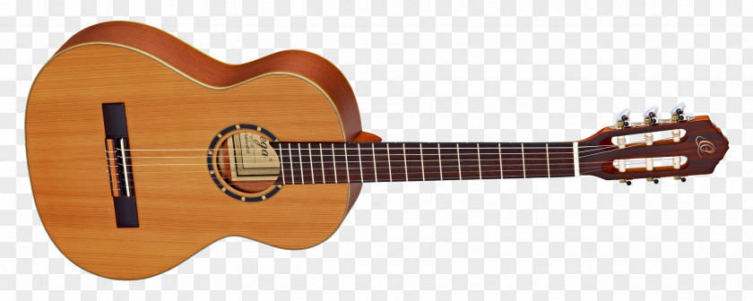 Amancio Ortega Ukulele Classical Guitar Steel-string Acoustic Electric PNG