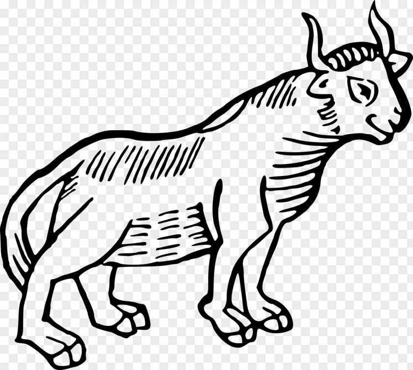 Bull Texas Longhorn Clip Art PNG