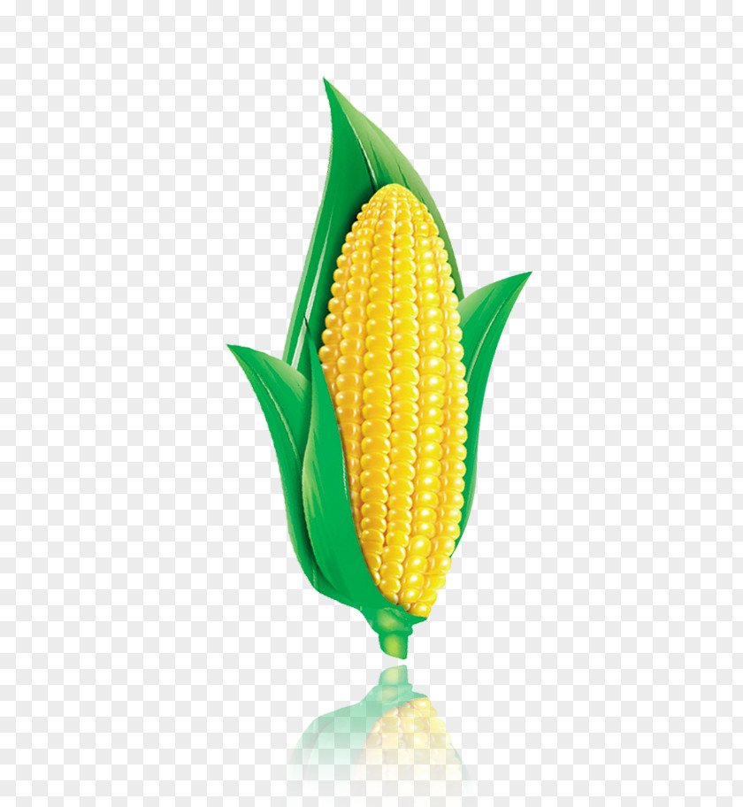 Corn On The Cob Flakes Maize Chip PNG