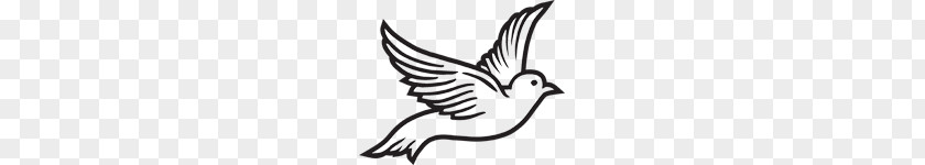 Dove Cliparts Columbidae Release Funeral Clip Art PNG