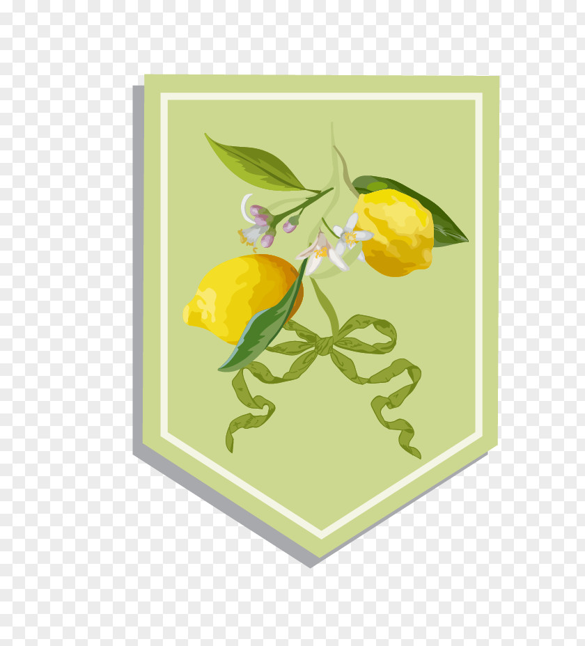 Fresh Lemon Background Illustration PNG