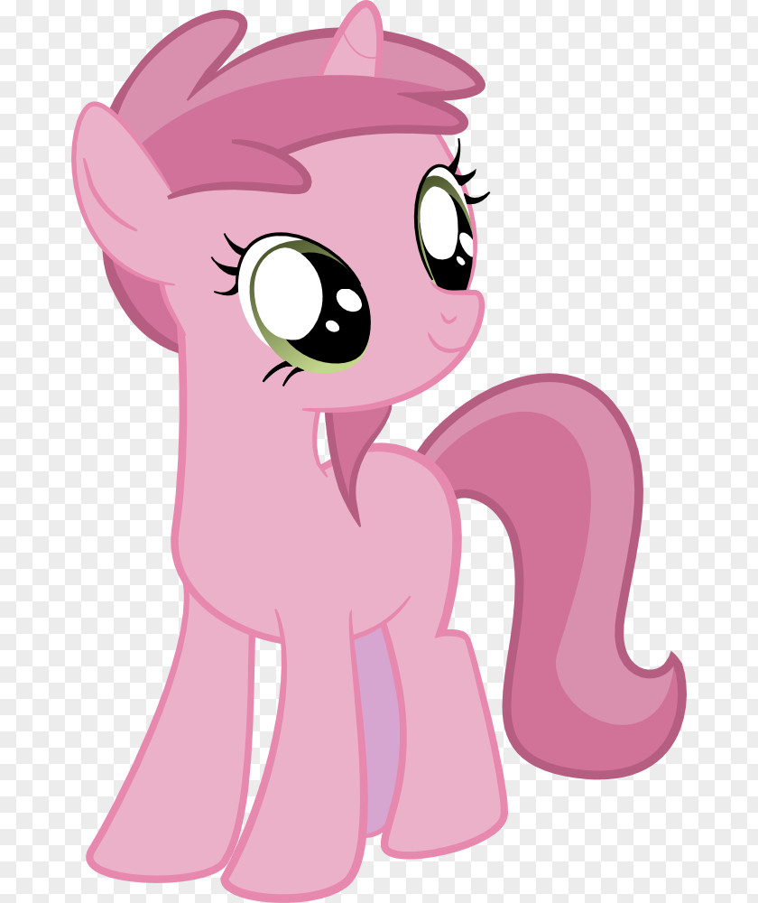 Horse Pony Cat Dog PNG