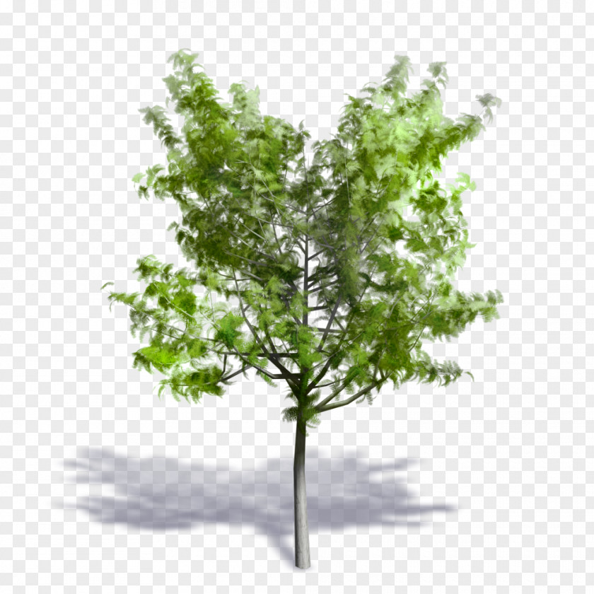 Tree Autodesk Revit Building Information Modeling ArchiCAD AutoCAD DXF PNG