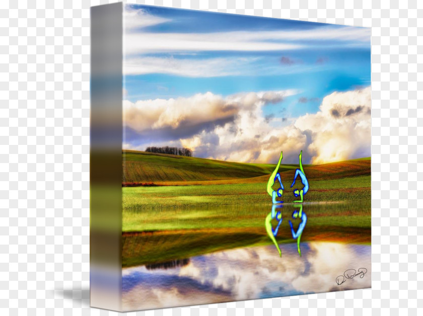 Energy Stock Photography Picture Frames PNG