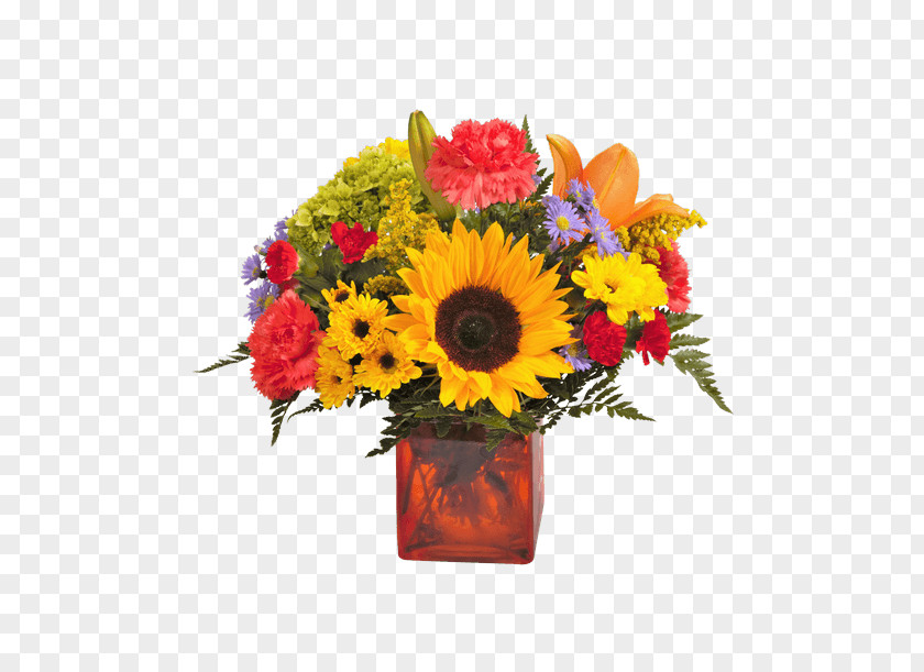 Flower Transvaal Daisy Common Sunflower Floral Design Cut Flowers PNG
