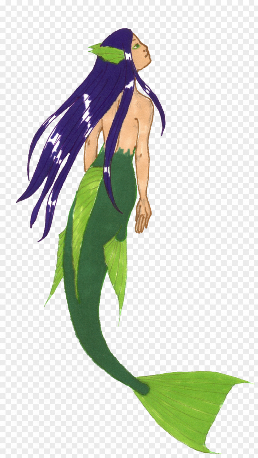 Mermaid Tail Drawing Legendary Creature Art PNG