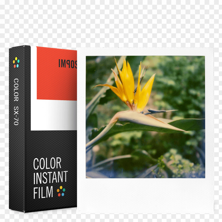 Polaroid Film SX-70 Photographic Instant Camera Originals PNG