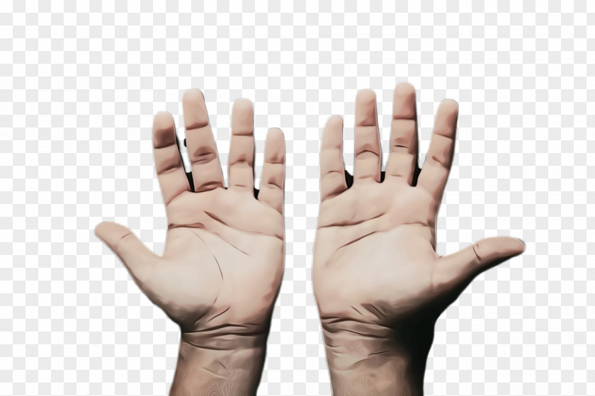 Sign Language Thumb Finger Hand Gesture PNG