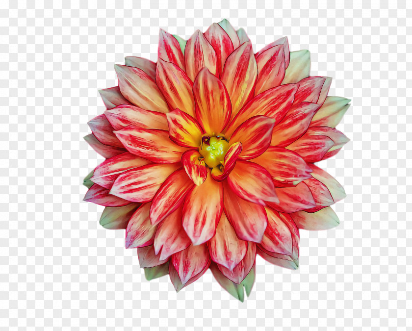 Artificial Flower PNG