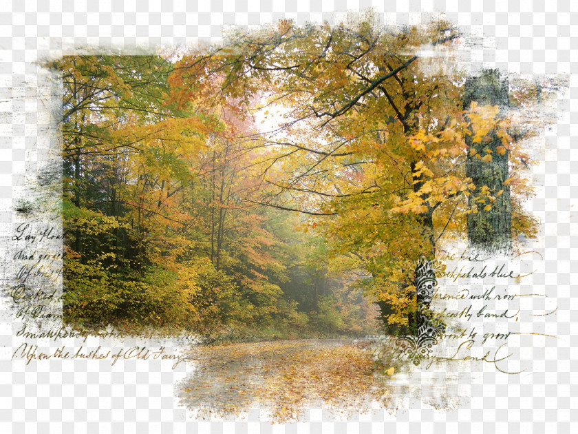 Autumn Landscape Nature Centerblog Art PNG