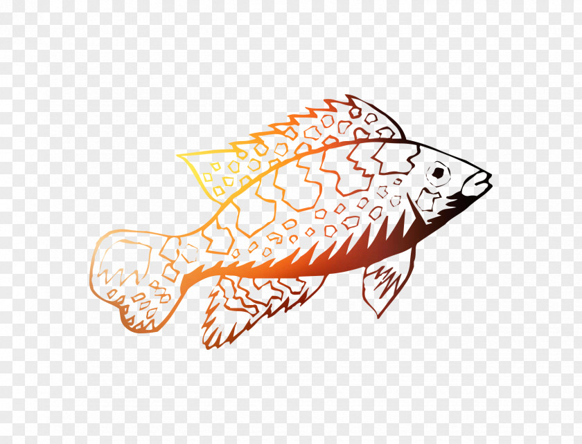 Clip Art Illustration Line Fish Orange S.A. PNG