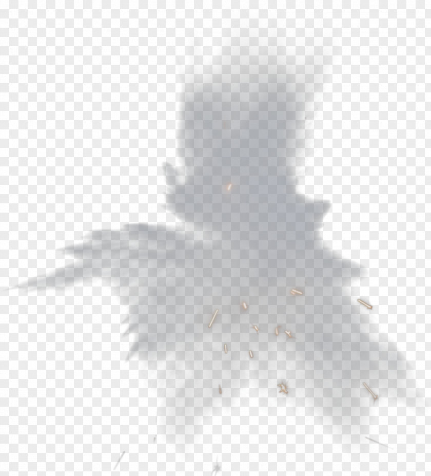 Explosion White Black Angle Pattern PNG
