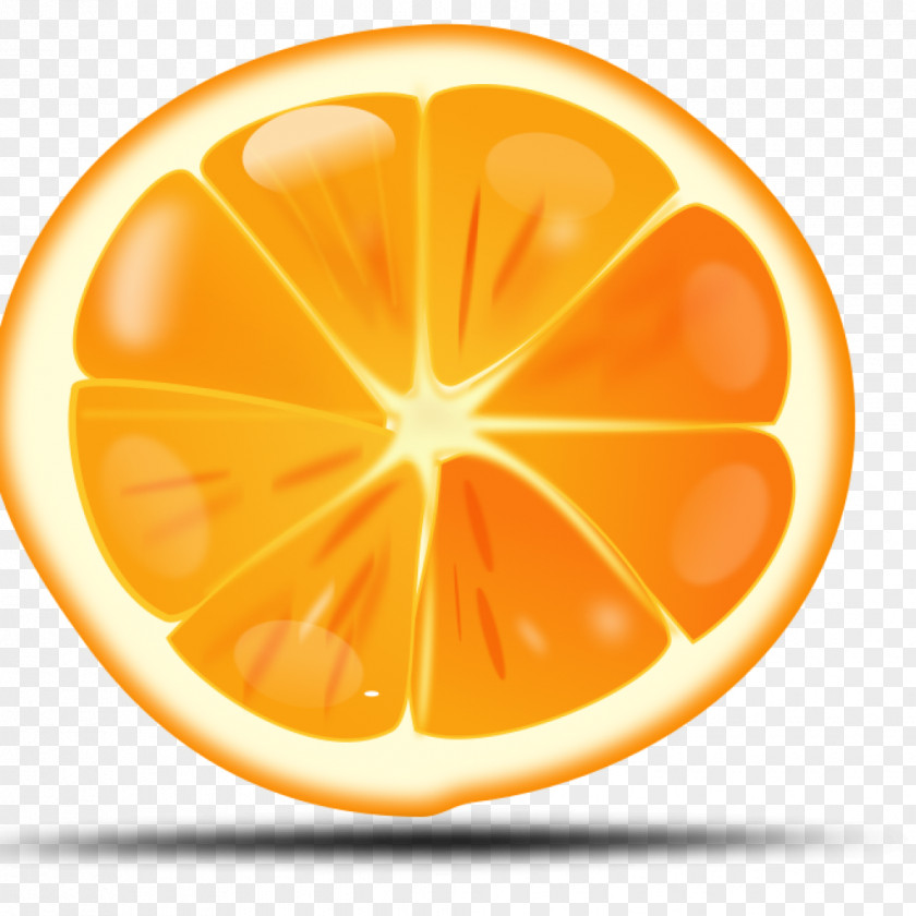 Orange Clip Art Openclipart Vector Graphics Image PNG